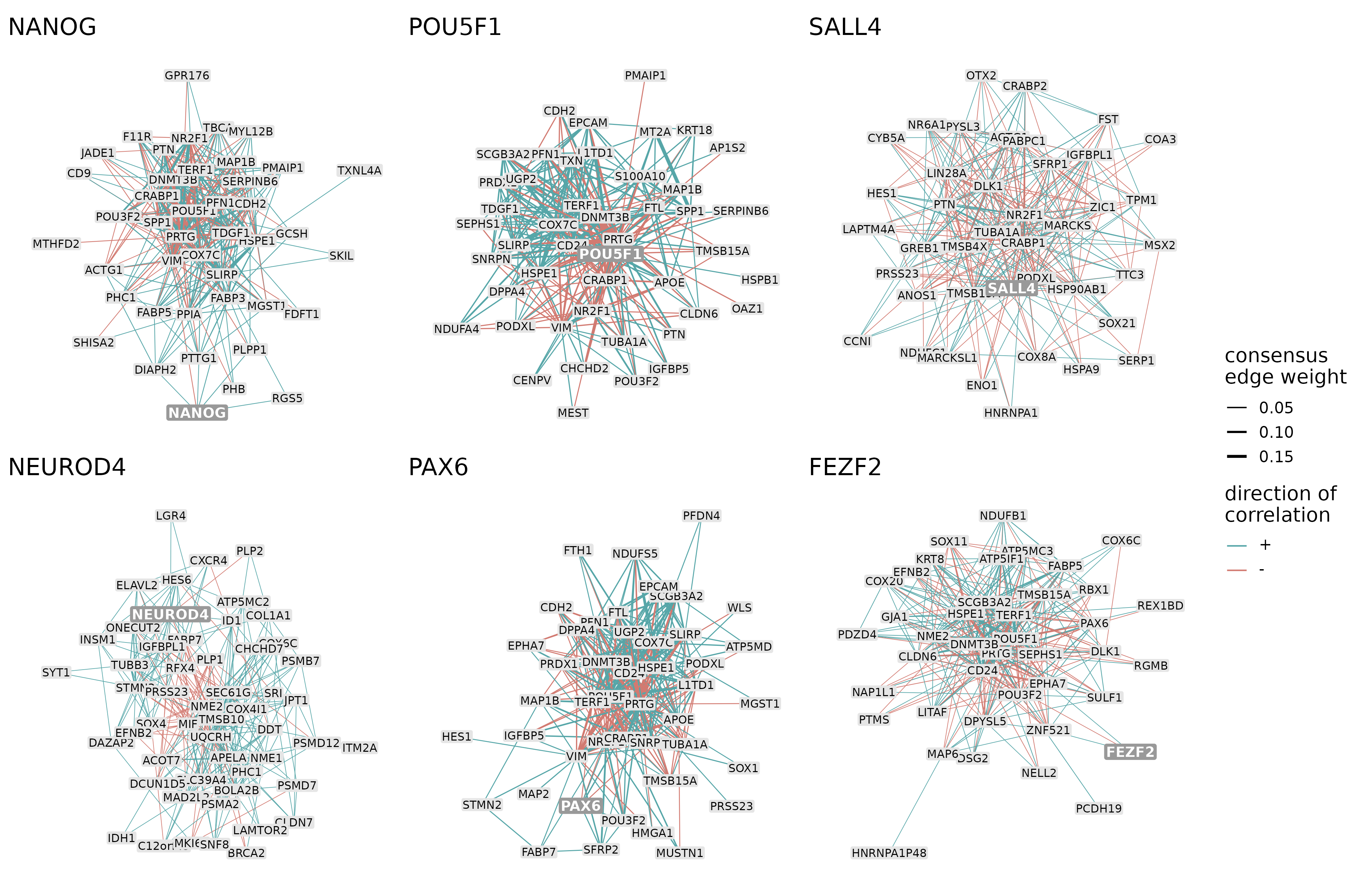 The 300 strongest connections of 6 example modules. The thickness of the edges represents the consensus edge weights and the color of the edges represents the direction of interaction (positively/negatively correlated).