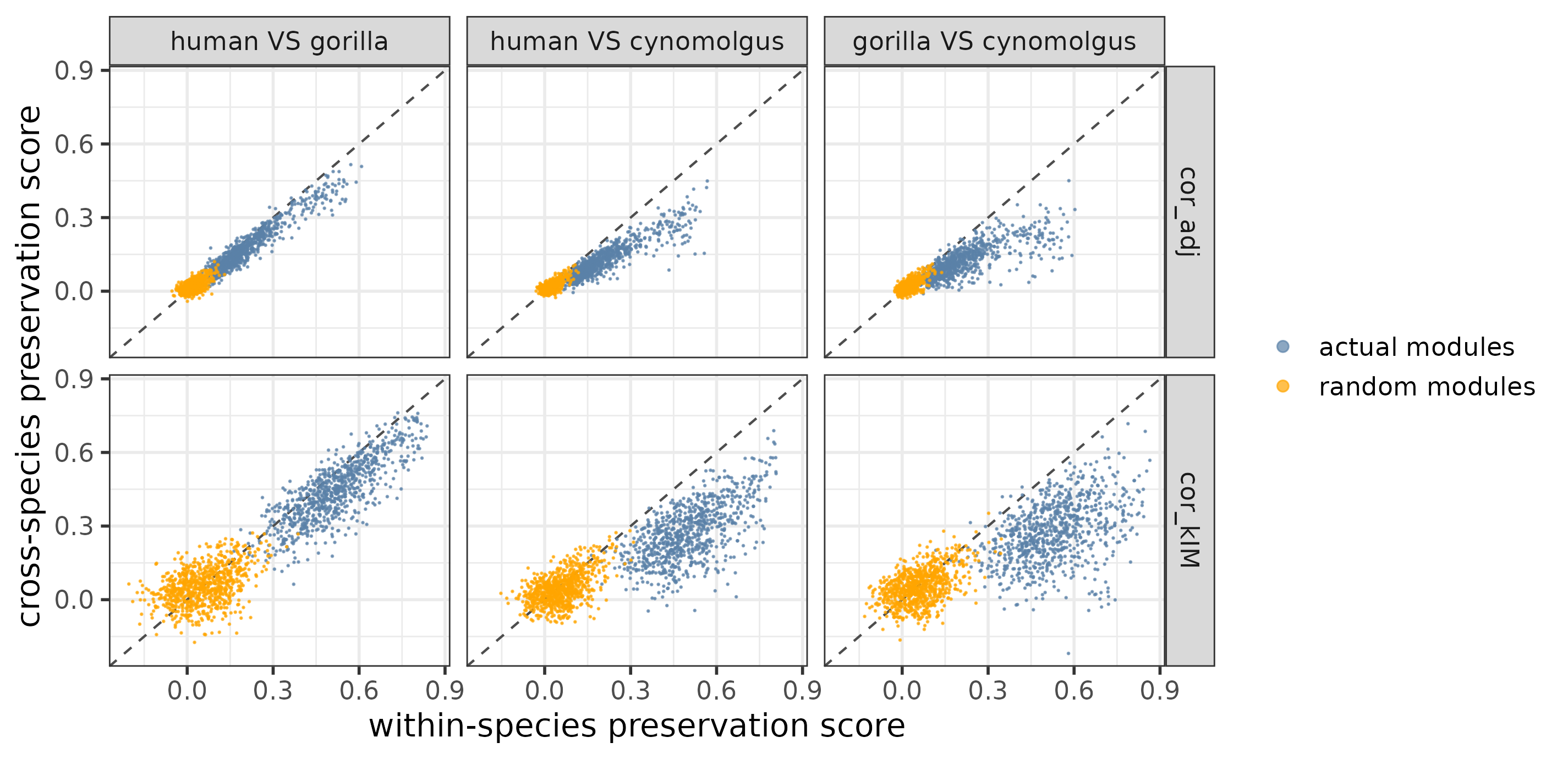 Cross-species VS within-species preservation scores per species pair for the actual and random modules.