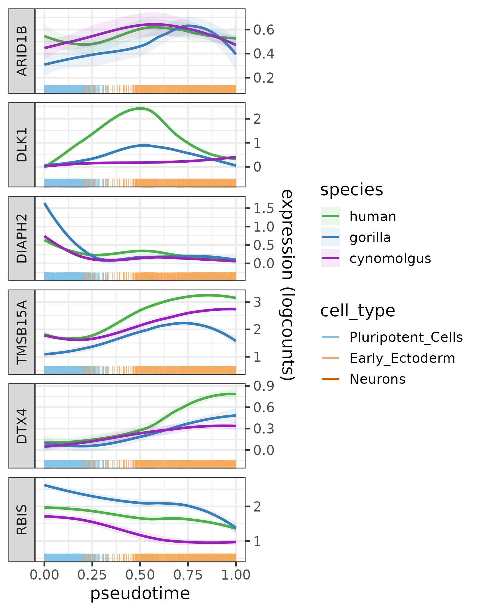 The expression profiles of ARID1B and its five most diverged target genes across the pseudotime trajectory per species.