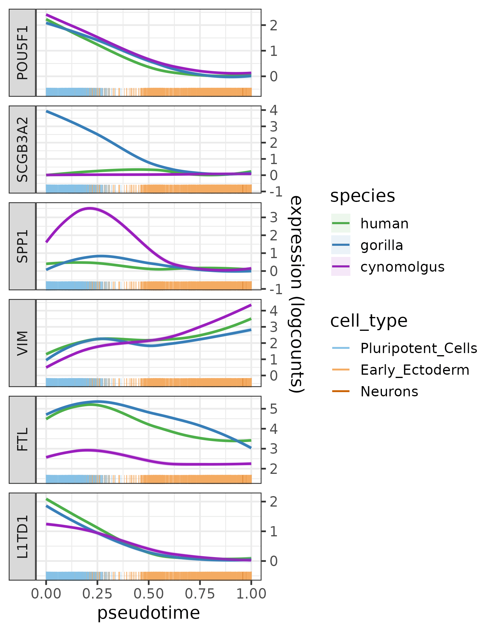 The expression profiles of POU5F1 and its five most diverged target genes across the pseudotime trajectory per species.