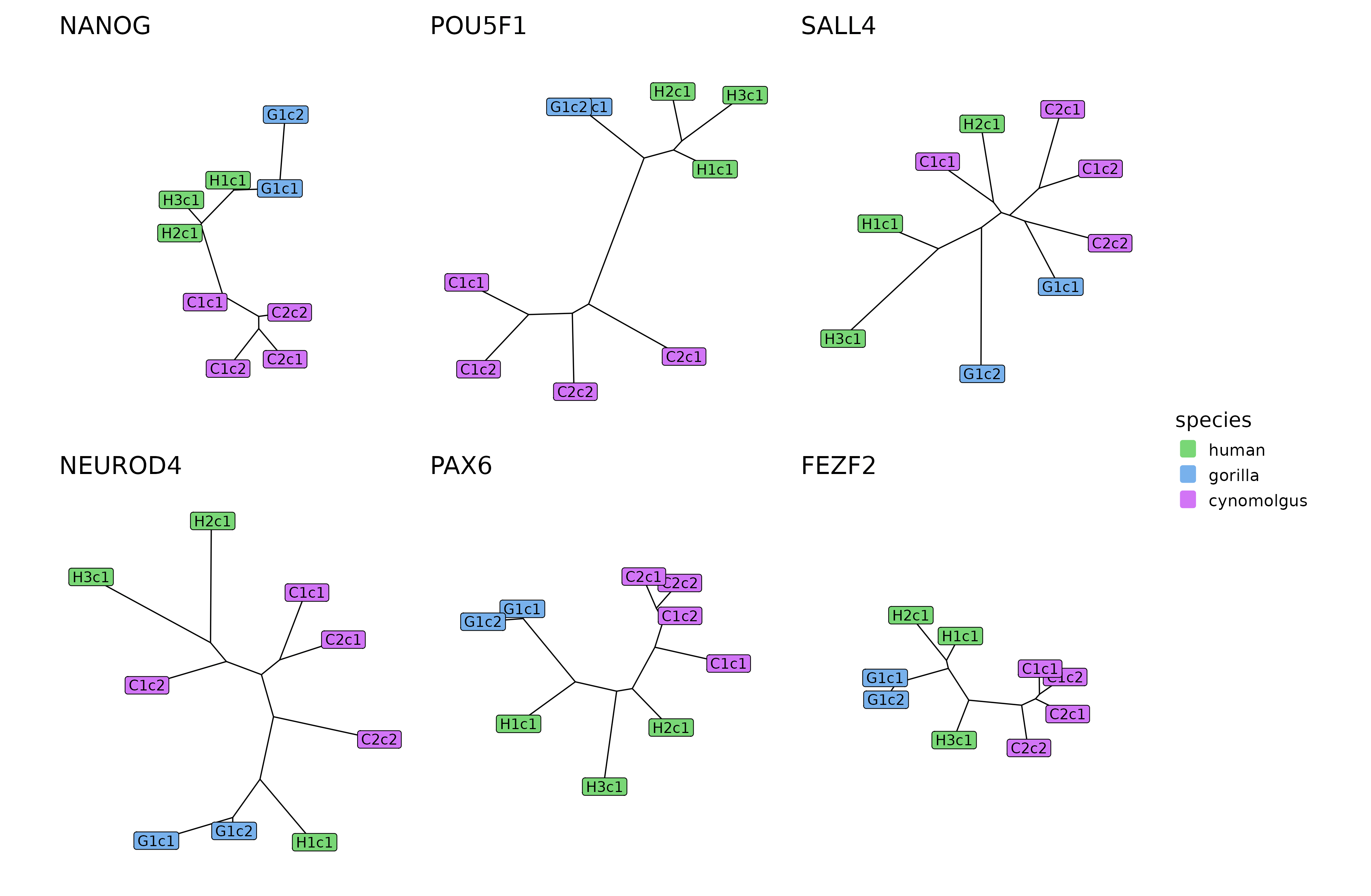 The tree reconstructions of 6 example modules.