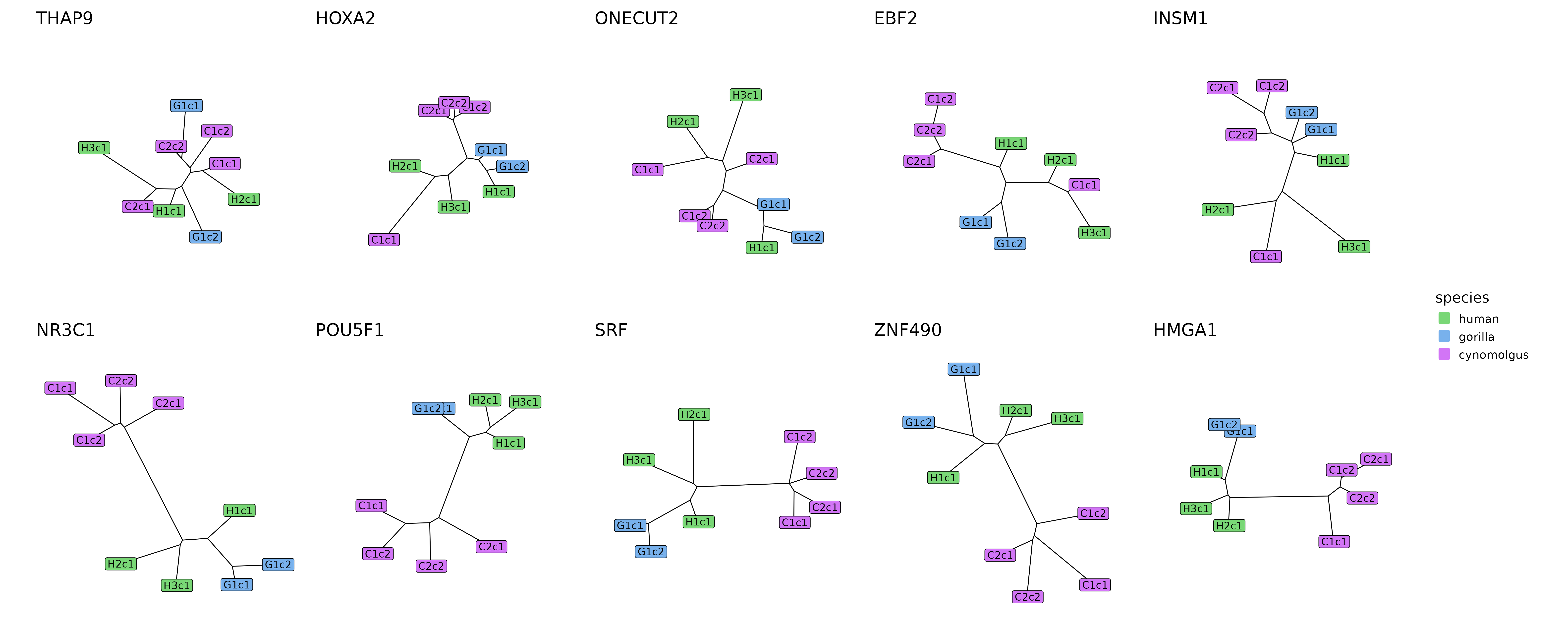The tree reconstructions of the 5 most conserved (top row) and 5 most diverged (bottom row) modules.