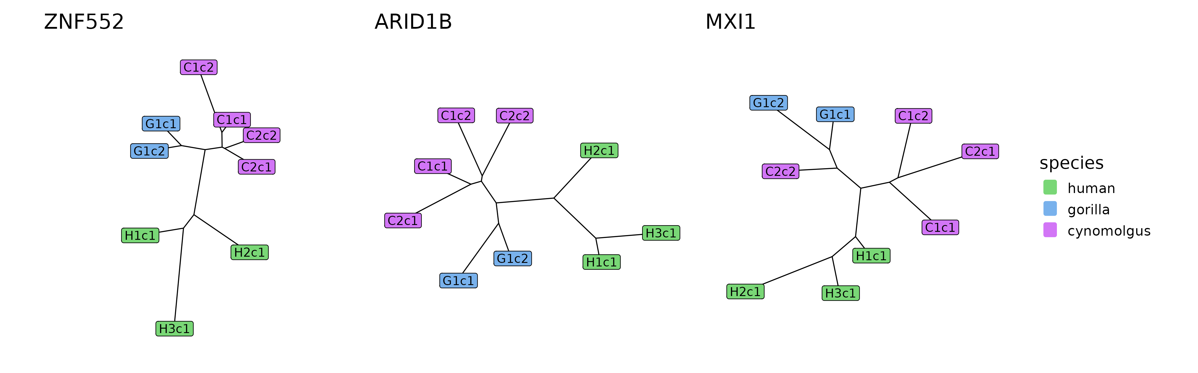 The tree reconstructions of the three modules that were found to be diverged on the human lineage.